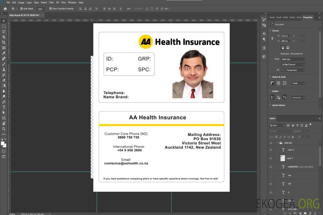 Carte d'assurance maladie néo-zélandaise template